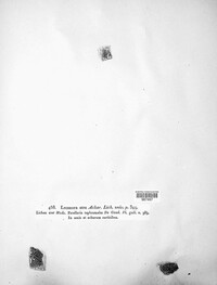 Tephromela atra image